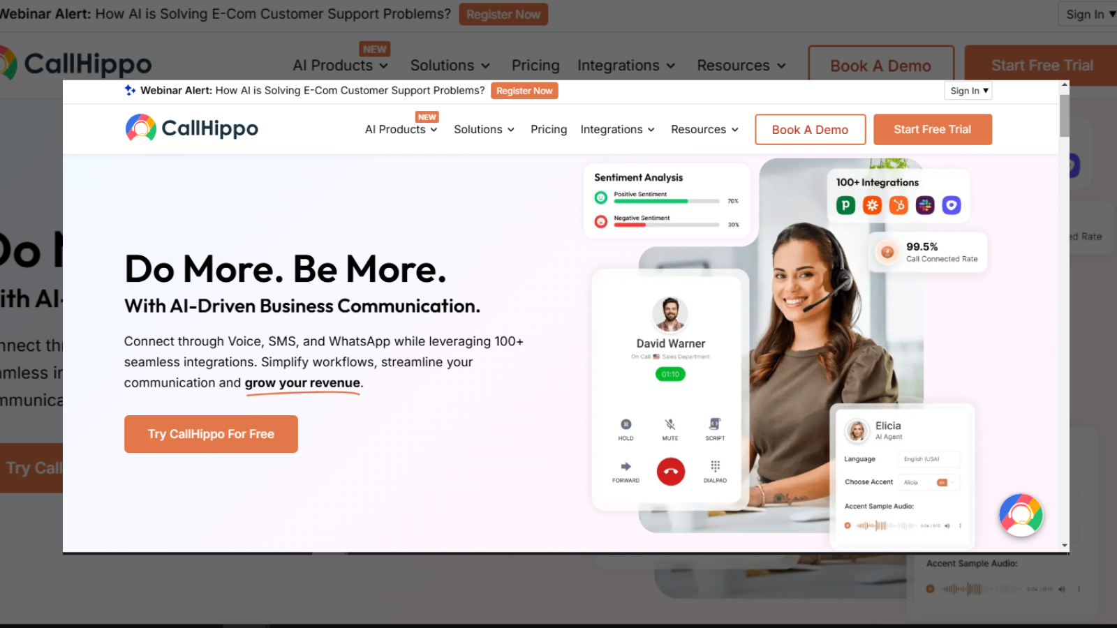 CallHippo